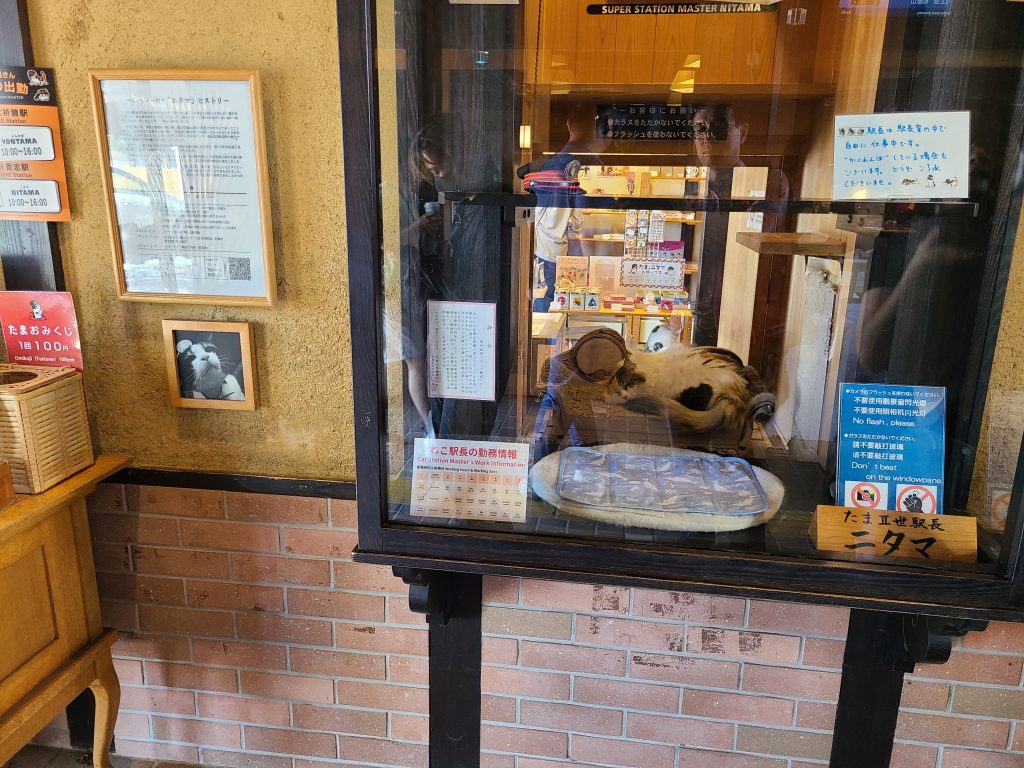 和歌山電鐵　貴志駅　故・にたま駅長①