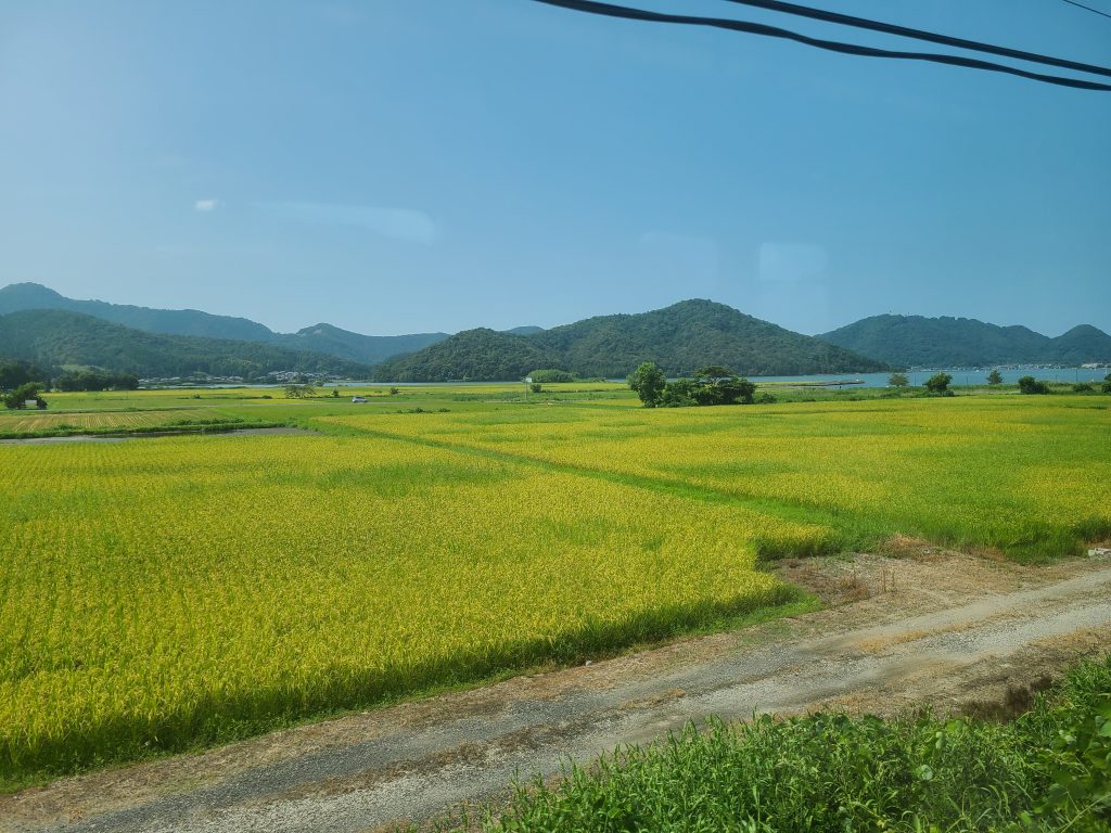 ＪＲ小浜線　美浜ー気山間の車窓
