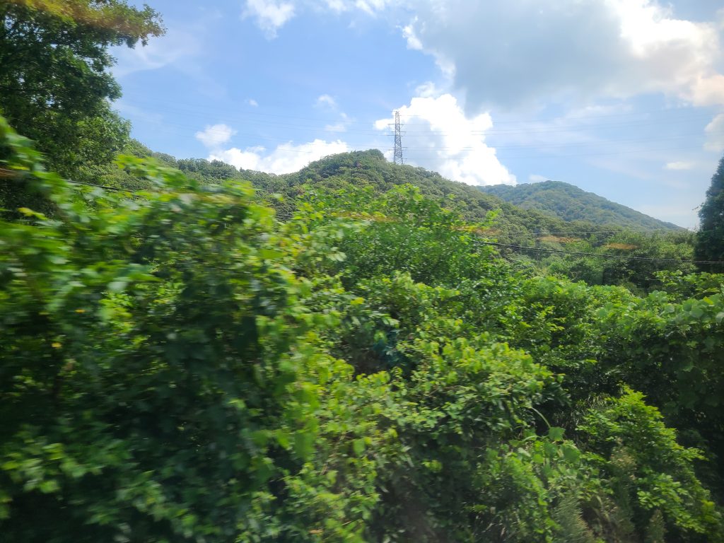 北陸本線車窓（上り線がみえる風景）