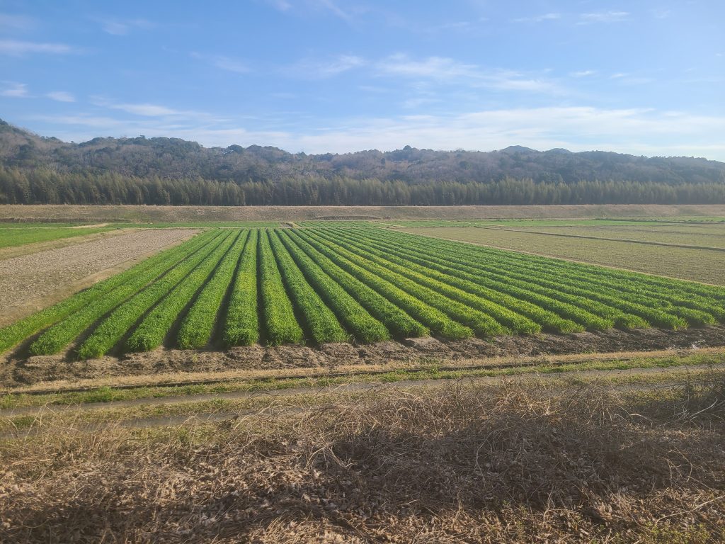 ＪＲ山陽本線厚東ー宇部間車窓