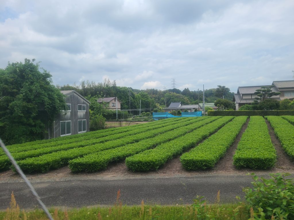 ＪＲ東海道本線（菊川ー金谷間）車窓