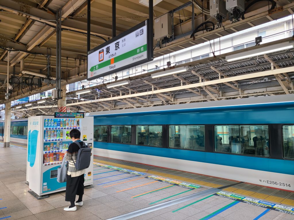 東京駅に到着した特急：踊り子4号