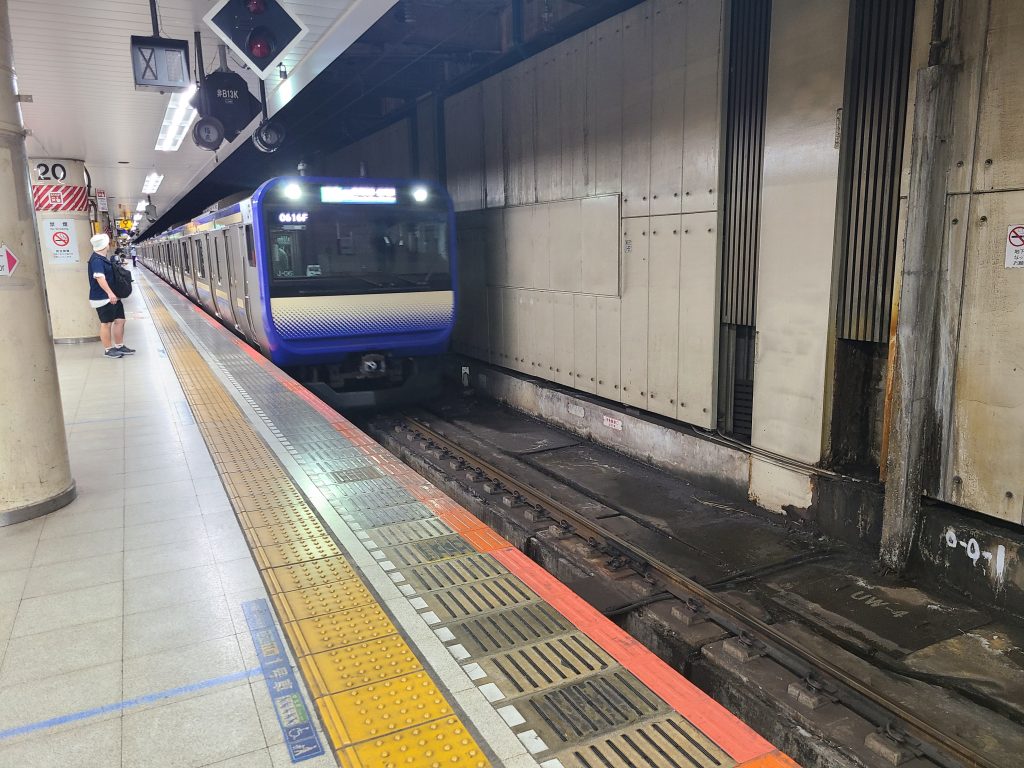 東京駅に到着する総武横須賀線逗子ゆき