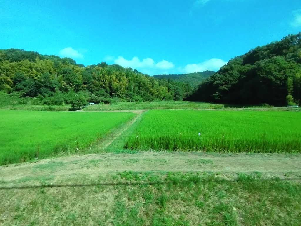 名鉄広見線善師野付近の車窓