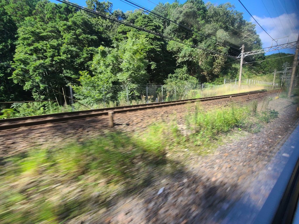 近鉄大阪線東青山駅付近車窓
